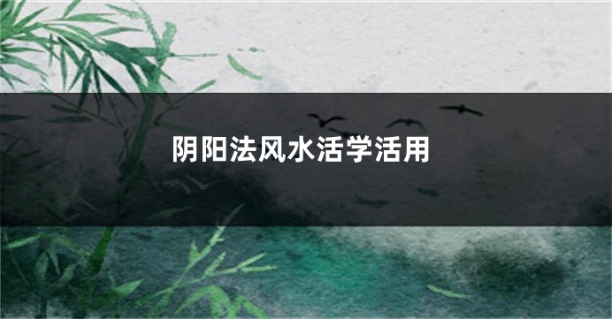 阴阳法风水活学活用