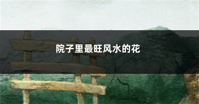院子里最旺风水的花