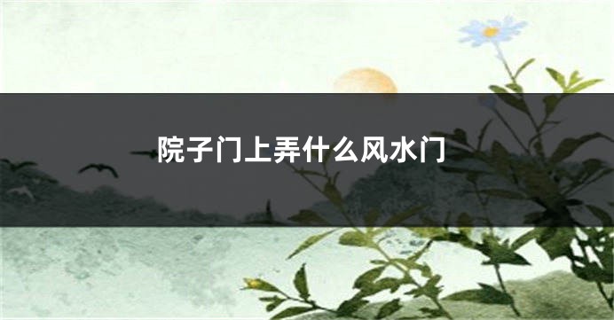 院子门上弄什么风水门