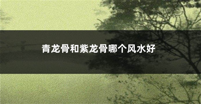 青龙骨和紫龙骨哪个风水好