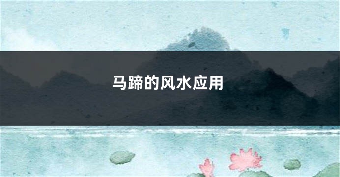 马蹄的风水应用