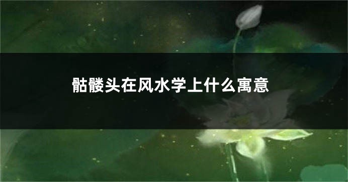 骷髅头在风水学上什么寓意