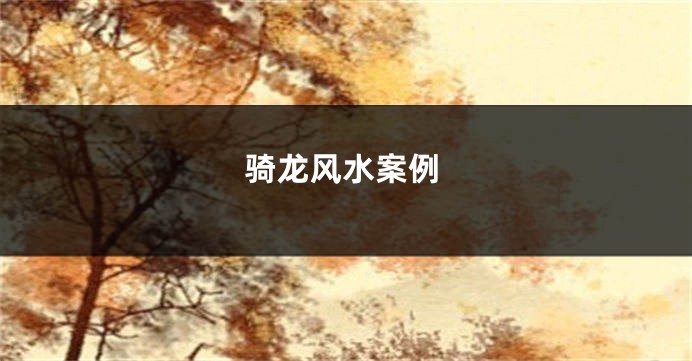 骑龙风水案例