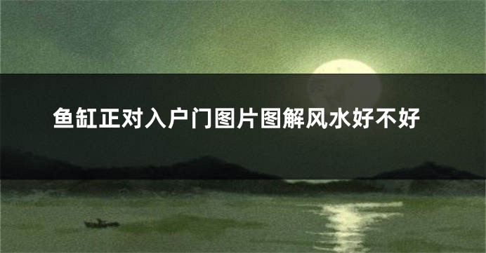 鱼缸正对入户门图片图解风水好不好