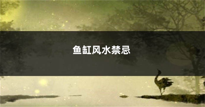 鱼缸风水禁忌