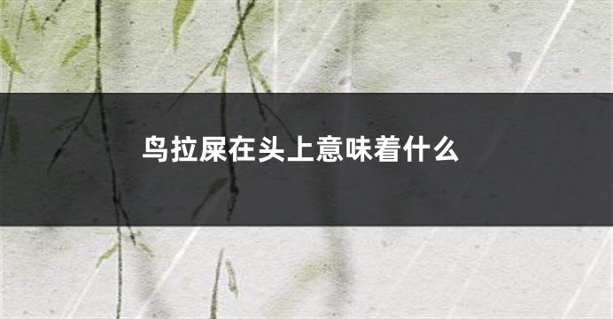 鸟拉屎在头上意味着什么