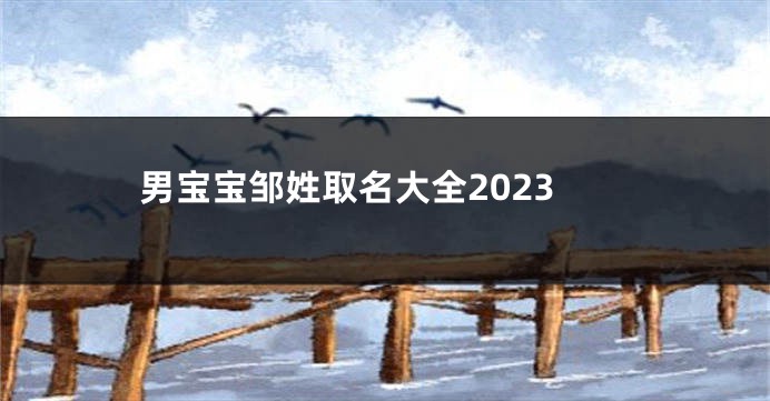 男宝宝邹姓取名大全2023