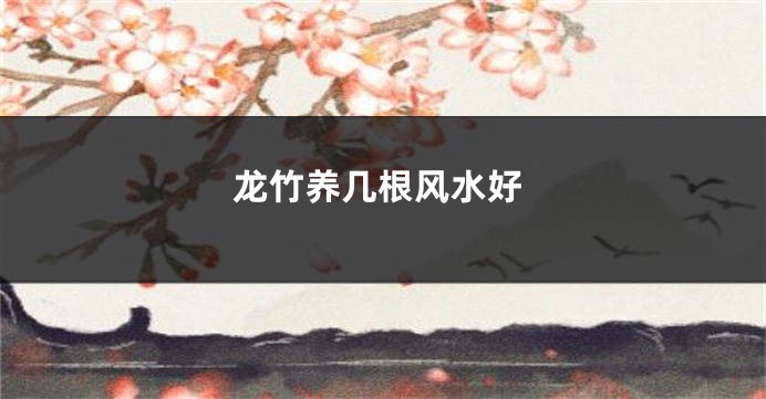 龙竹养几根风水好