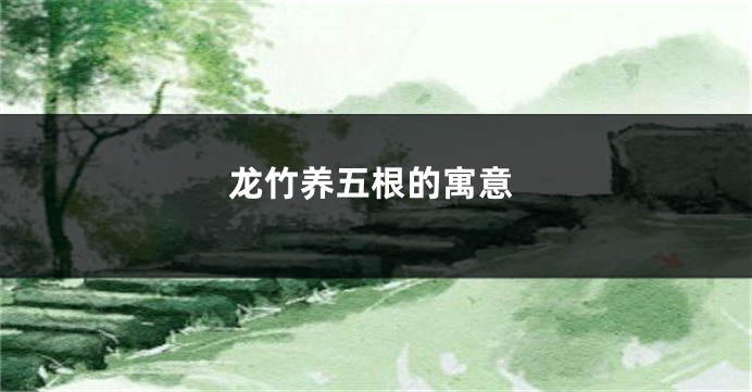 龙竹养五根的寓意