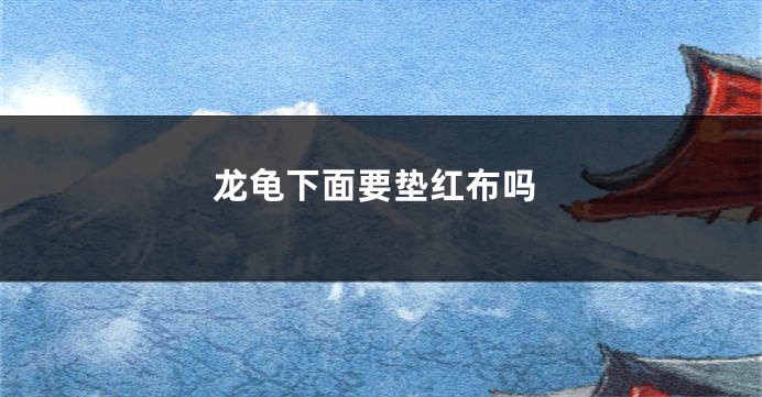 龙龟下面要垫红布吗