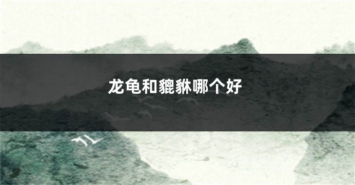 龙龟和貔貅哪个好
