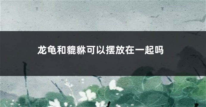 龙龟和貔貅可以摆放在一起吗