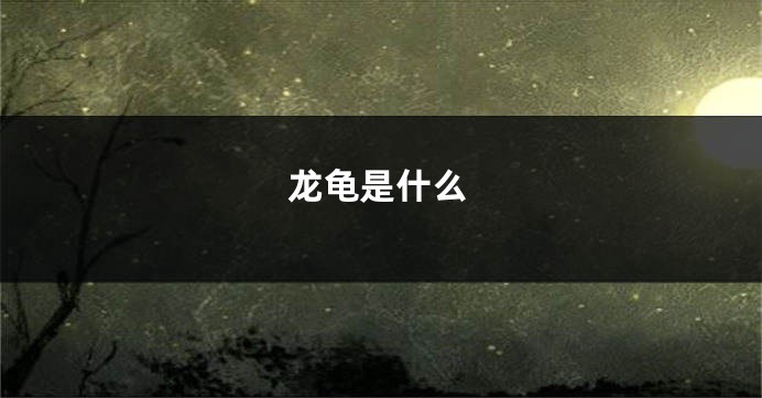 龙龟是什么
