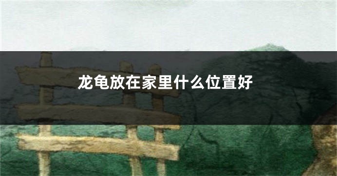 龙龟放在家里什么位置好