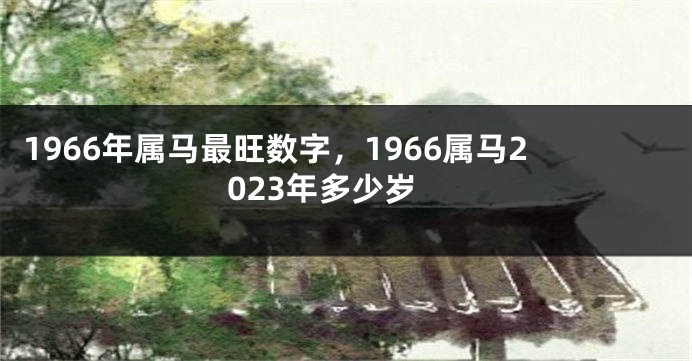 1966年属马最旺数字，1966属马2023年多少岁