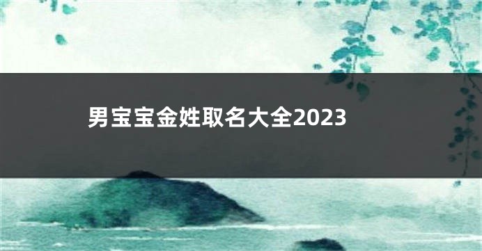 男宝宝金姓取名大全2023