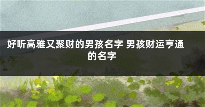 好听高雅又聚财的男孩名字 男孩财运亨通的名字