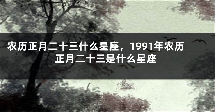 农历正月二十三什么星座，1991年农历正月二十三是什么星座