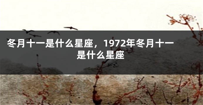 冬月十一是什么星座，1972年冬月十一是什么星座