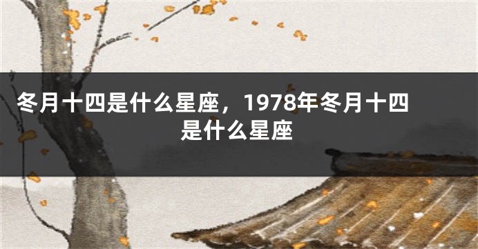 冬月十四是什么星座，1978年冬月十四是什么星座