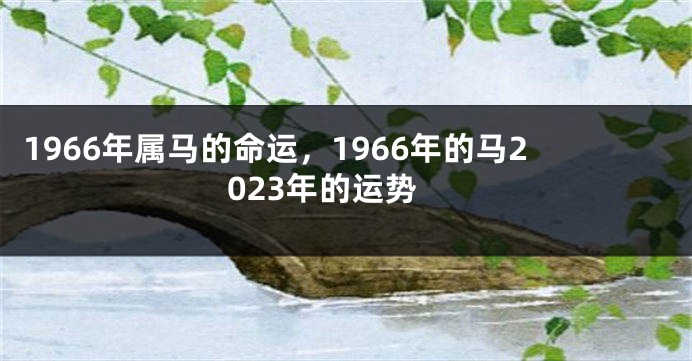 1966年属马的命运，1966年的马2023年的运势