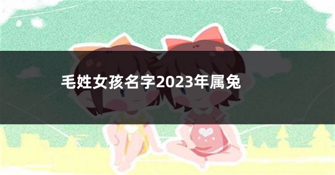 毛姓女孩名字2023年属兔