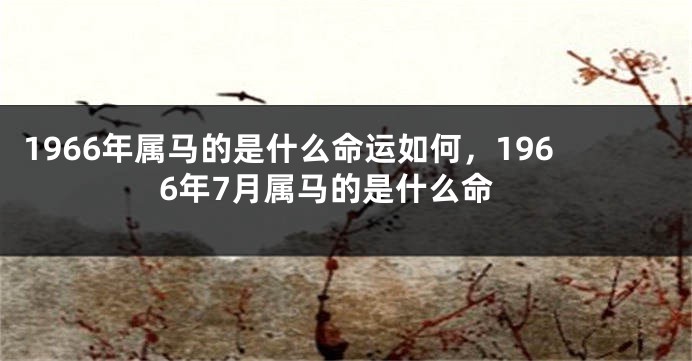 1966年属马的是什么命运如何，1966年7月属马的是什么命