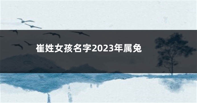 崔姓女孩名字2023年属兔