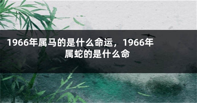 1966年属马的是什么命运，1966年属蛇的是什么命