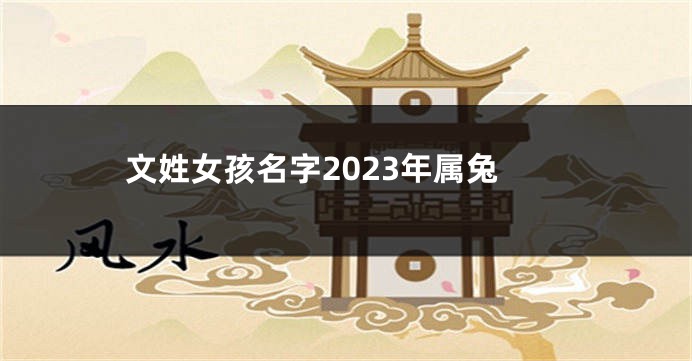 文姓女孩名字2023年属兔