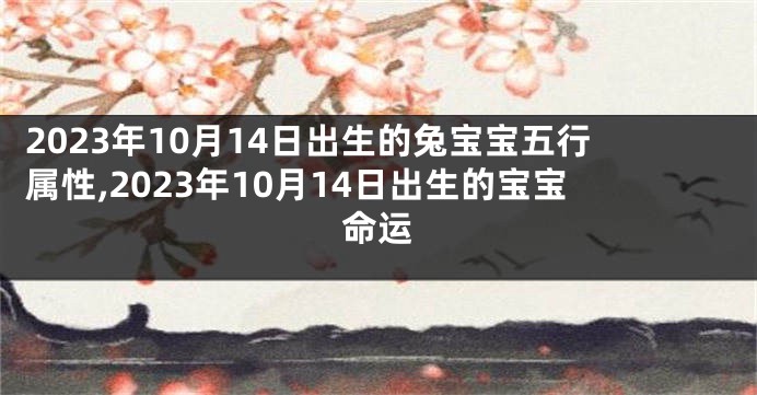 2023年10月14日出生的兔宝宝五行属性,2023年10月14日出生的宝宝命运