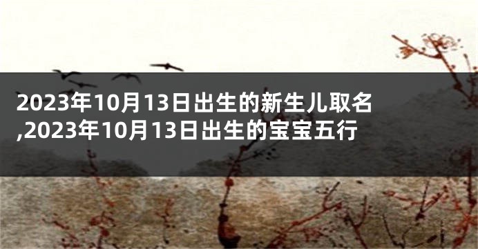 2023年10月13日出生的新生儿取名,2023年10月13日出生的宝宝五行