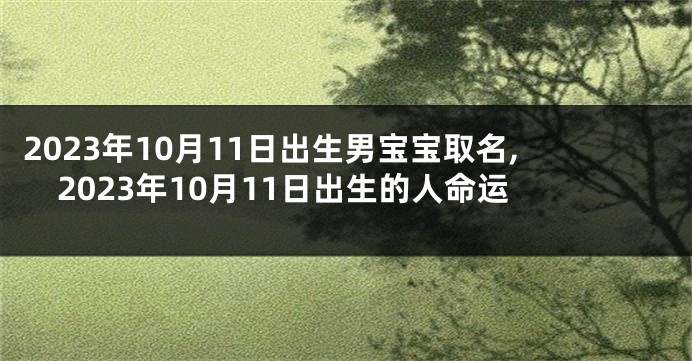 2023年10月11日出生男宝宝取名,2023年10月11日出生的人命运