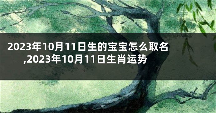 2023年10月11日生的宝宝怎么取名,2023年10月11日生肖运势