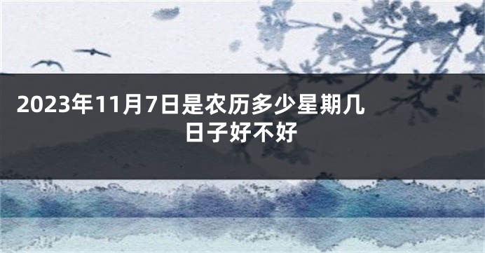 2023年11月7日是农历多少星期几 日子好不好