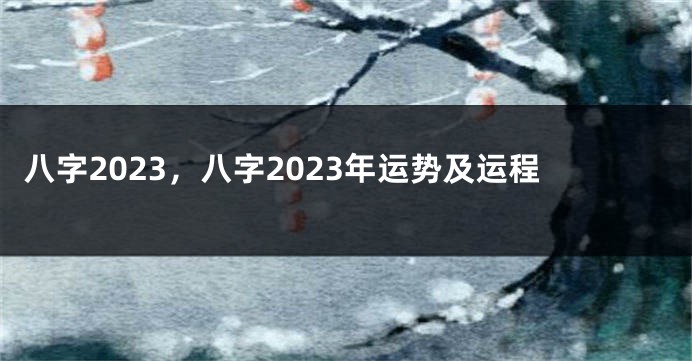 八字2023，八字2023年运势及运程