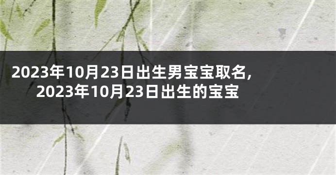 2023年10月23日出生男宝宝取名,2023年10月23日出生的宝宝