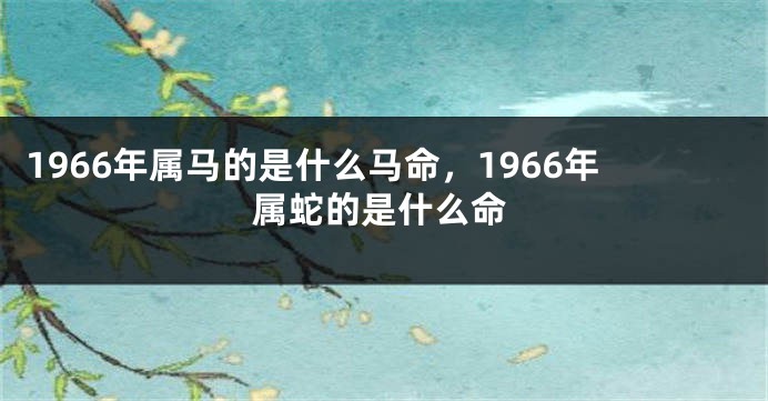 1966年属马的是什么马命，1966年属蛇的是什么命