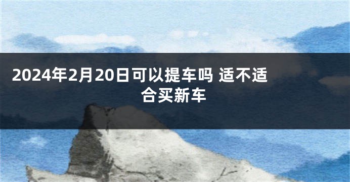 2024年2月20日可以提车吗 适不适合买新车