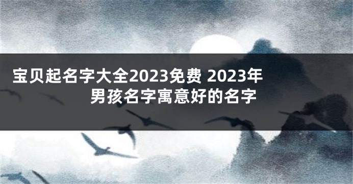 宝贝起名字大全2023免费 2023年男孩名字寓意好的名字