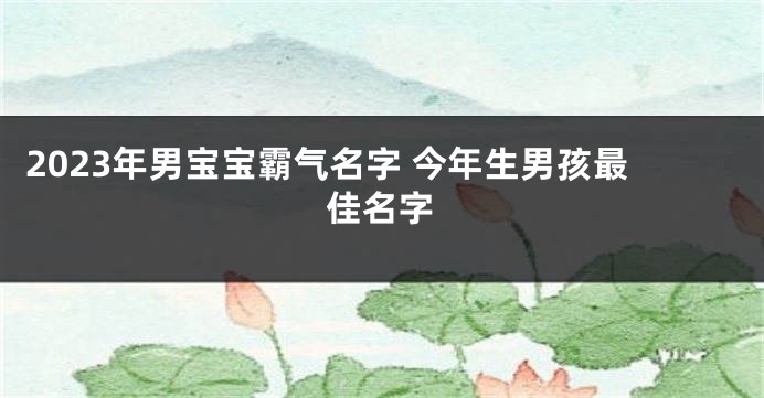 2023年男宝宝霸气名字 今年生男孩最佳名字