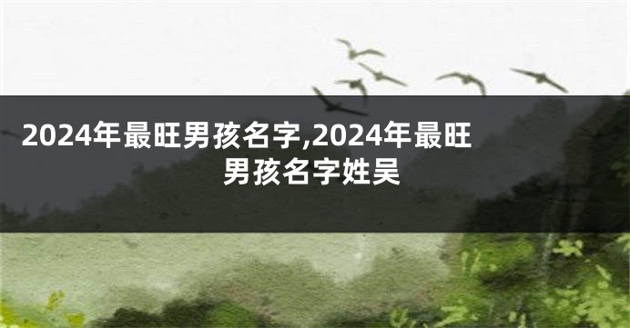 2024年最旺男孩名字,2024年最旺男孩名字姓吴