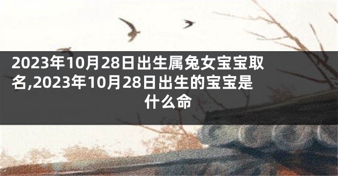 2023年10月28日出生属兔女宝宝取名,2023年10月28日出生的宝宝是什么命