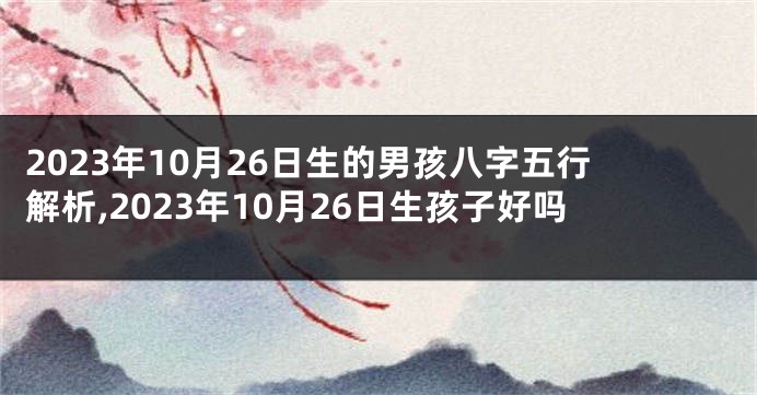 2023年10月26日生的男孩八字五行解析,2023年10月26日生孩子好吗