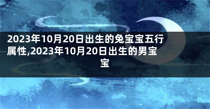 2023年10月20日出生的兔宝宝五行属性,2023年10月20日出生的男宝宝