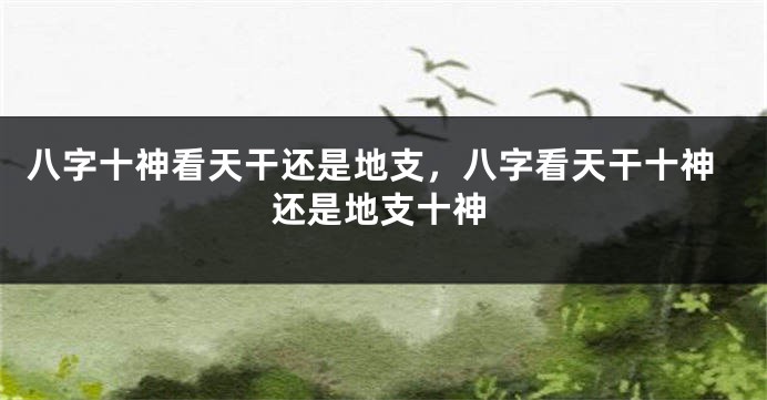 八字十神看天干还是地支，八字看天干十神还是地支十神