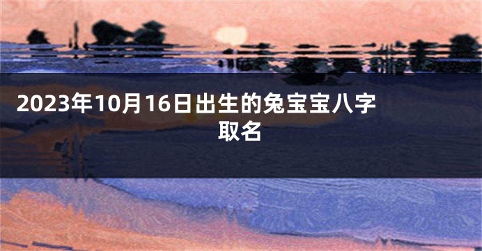 2023年10月16日出生的兔宝宝八字取名