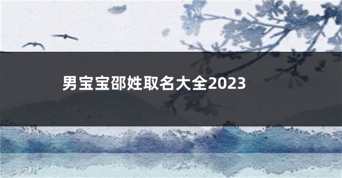 男宝宝邵姓取名大全2023