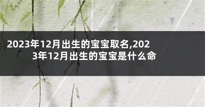 2023年12月出生的宝宝取名,2023年12月出生的宝宝是什么命