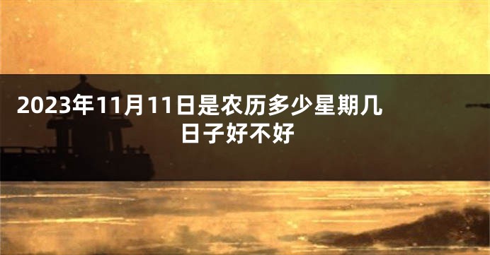 2023年11月11日是农历多少星期几 日子好不好